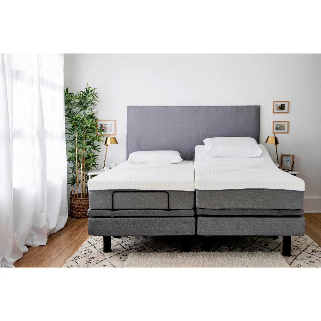 Golden Passport Hi/Low Full Electric Homecare Bed with Massage - Image 3