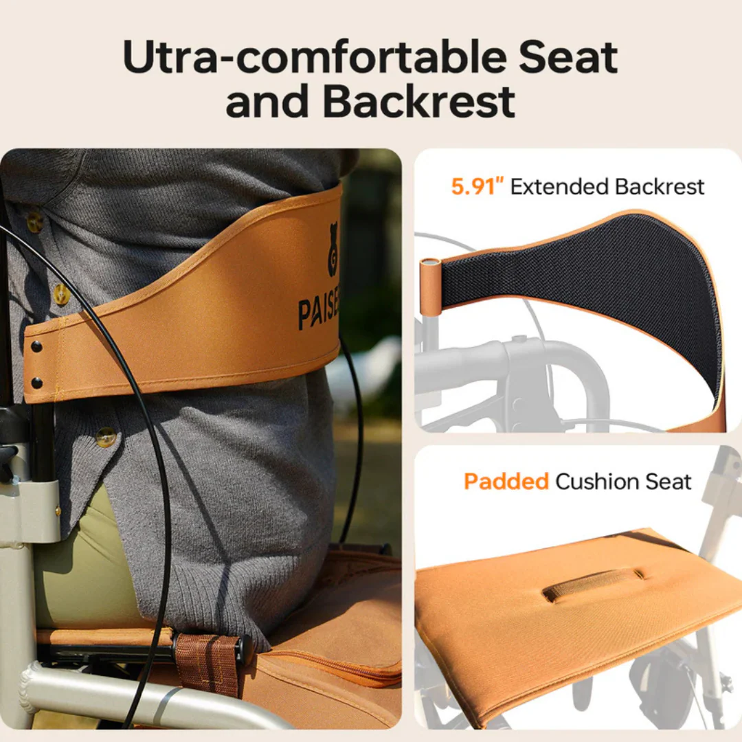 Paiseec R1 2-in-1 Rollator Walker Transport Chair - Image 4